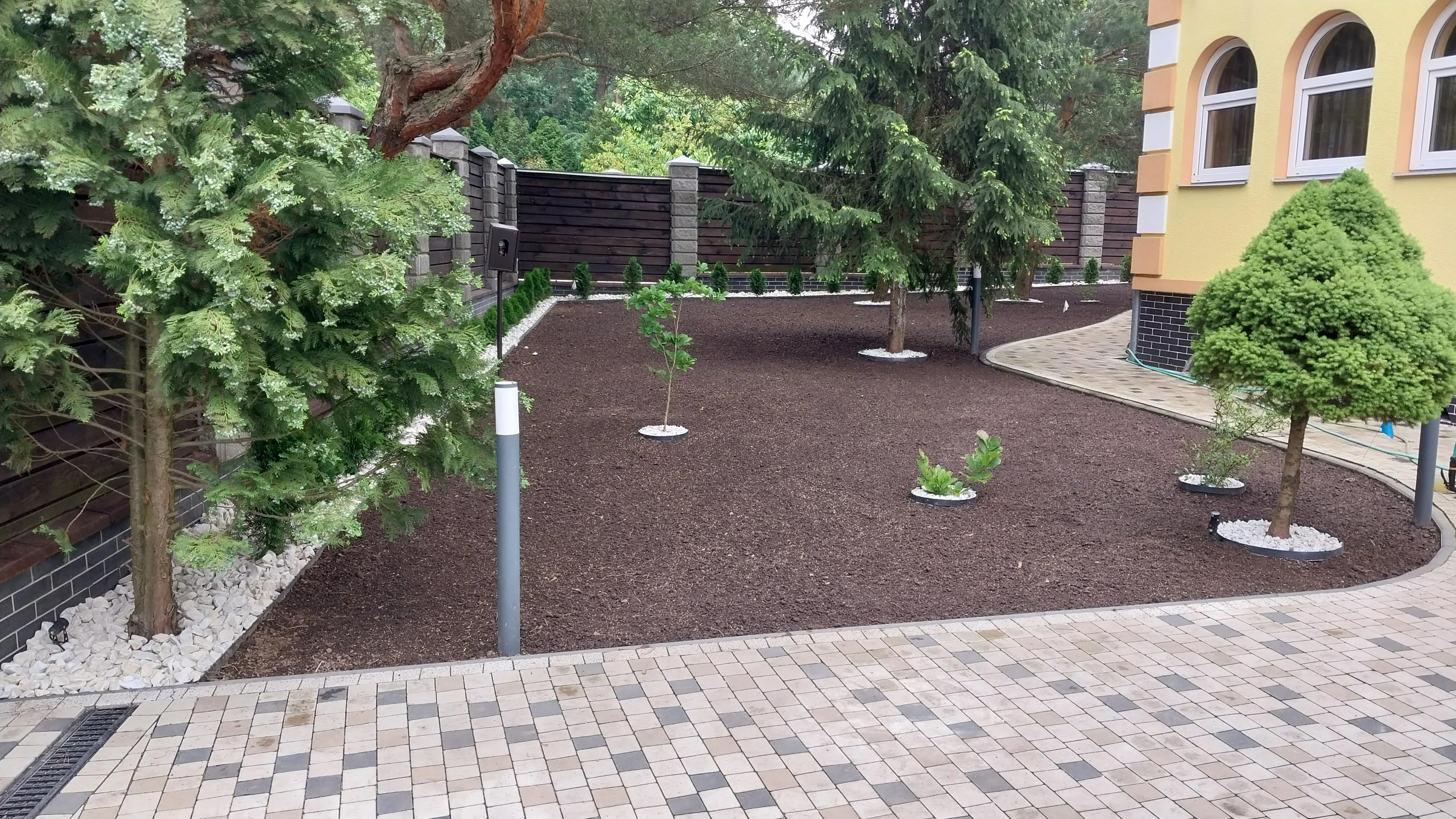 Посадка дерев та декоративних рослин